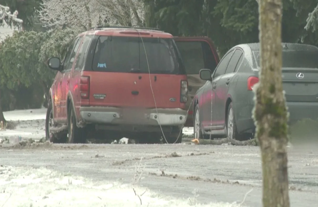 Family’s Terrifying Encounter with Falling Power Line in Oregon Ice Storm