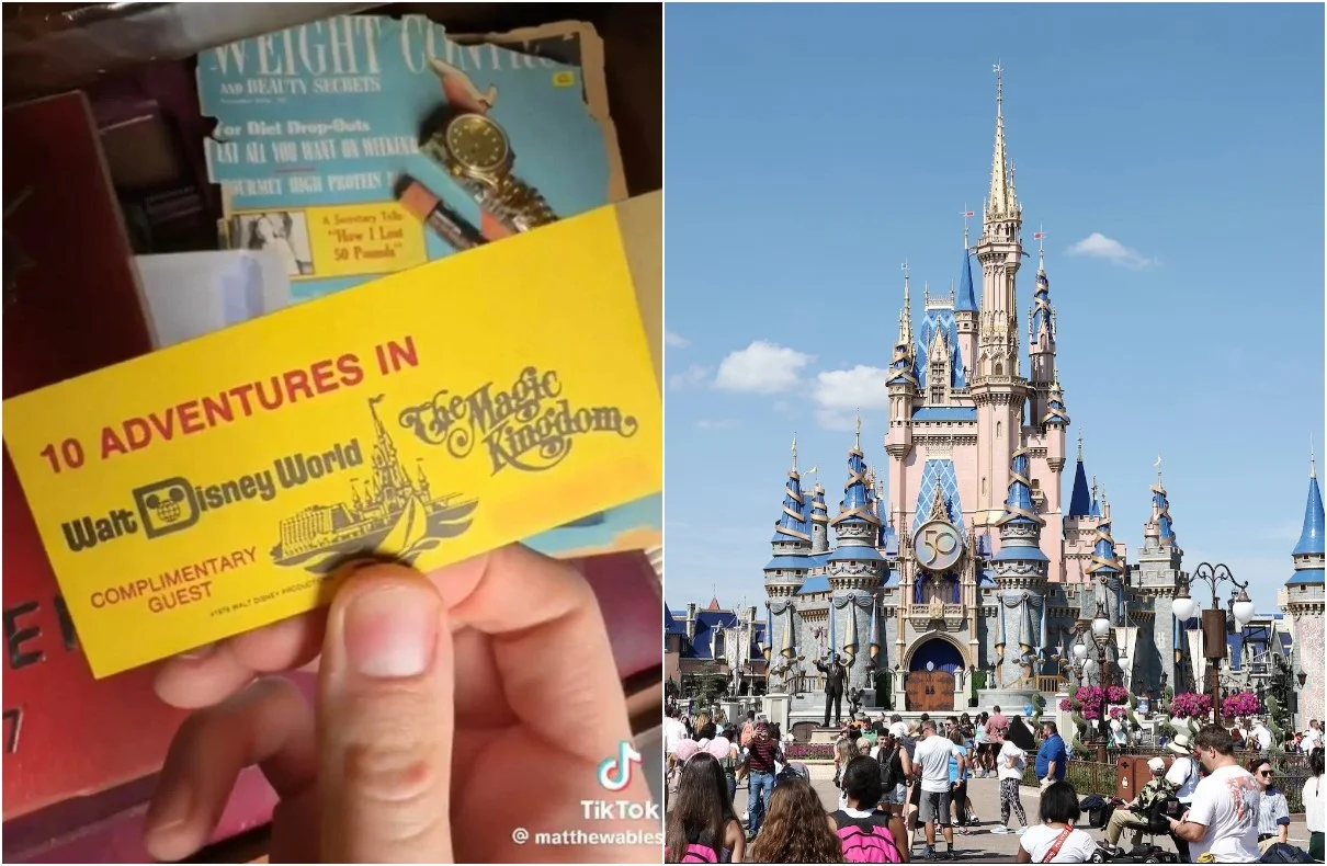 Man’s Old Disney Ticket Gets Him into Magic Kingdom