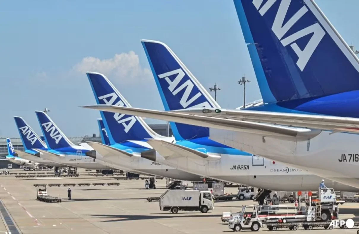 Us-bound Ana Flight Turns Back To Tokyo After Passenger Bites Flight Attendant