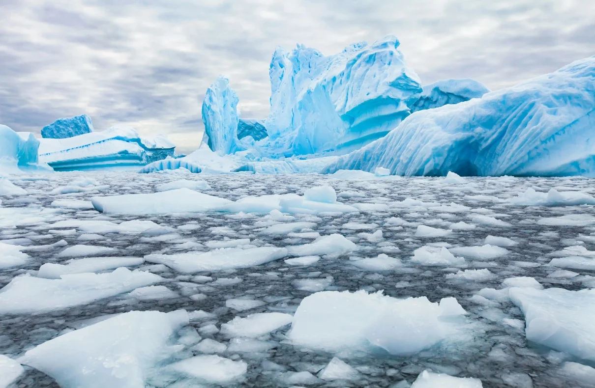 Antarctica’s Historic Ice Loss Reveals Climate Catastrophe