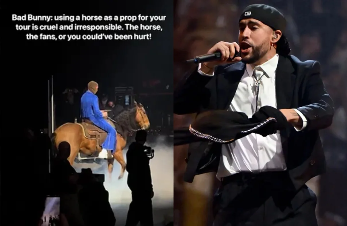 Bad Bunny and PETA: The Controversy Surrounding Riding Horses During Concerts