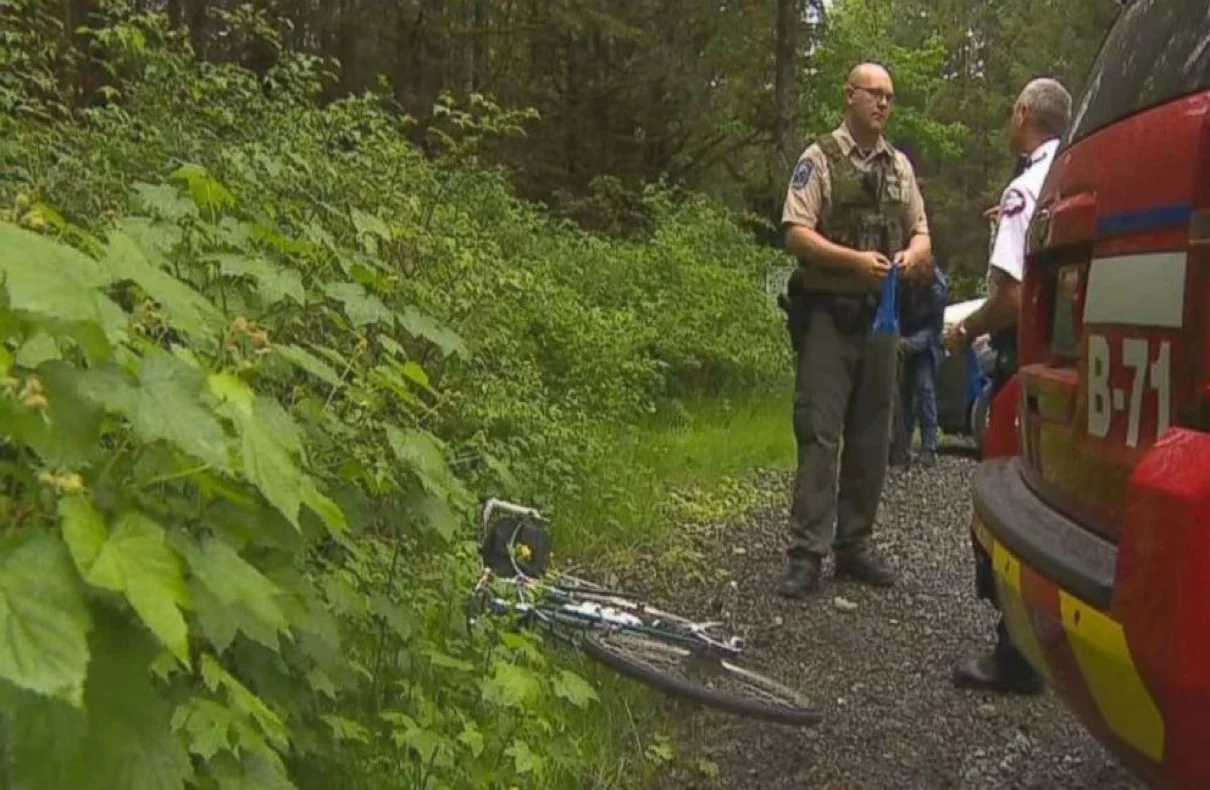 Cougar Attacks Mountain Bikers A Startling Encounter On The Trail