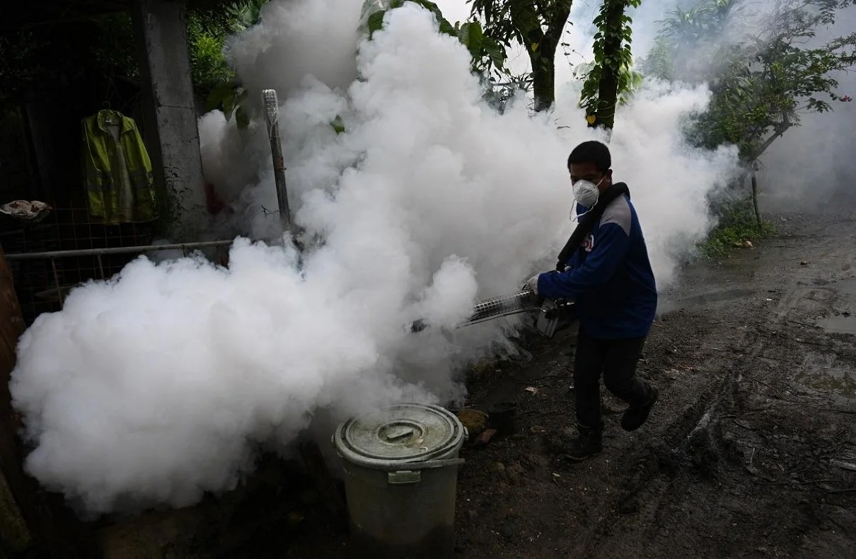 Peru Declares Health Emergency Amid Rising Dengue Fever Crisis