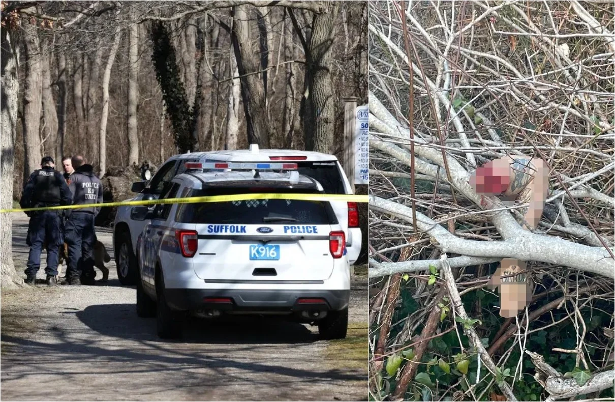 Multiple Arrests Made Following Discovery of Human Remains in Long Island