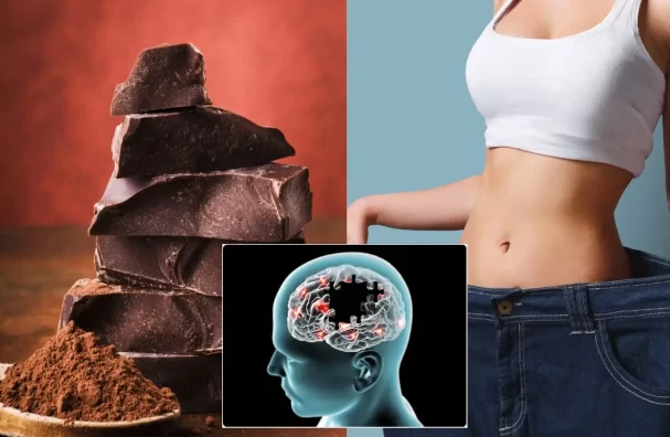 Chocolate May Help Weight Loss, Prevent Alzheimer's