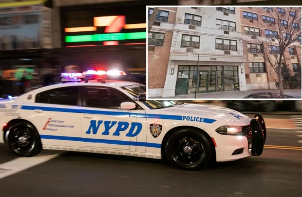 Elderly Woman Stabbed Multiple Times In The Head In Bronx