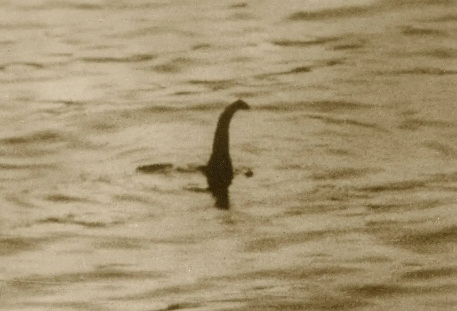 Hunters Of Loch Ness Creature Calls For Nasa's Expertise