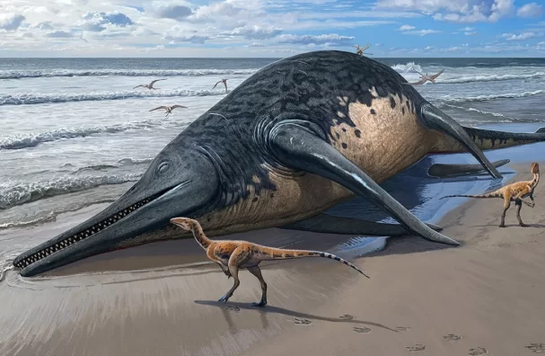 The Largest Marine Reptile Ever Discovered