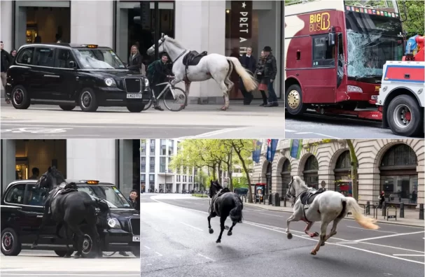 Unpredictable Horse Incident In London, Injures Four